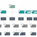 ORGANIGRAMA